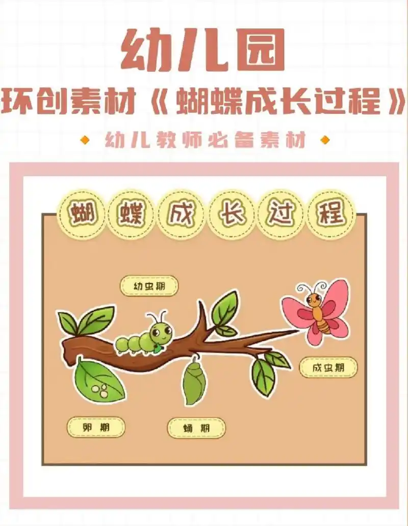 幼儿园环创素材《蝴蝶成长过程》 96高清素材 96可打印素材 96