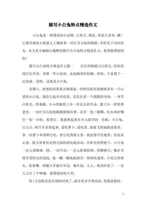 描写小白兔特点496_702竖版 竖屏