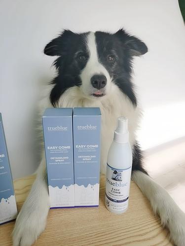 塞拉宠物 trueblue珍蓝之宠宠物顺毛喷雾柔顺防打结猫狗通用257ml