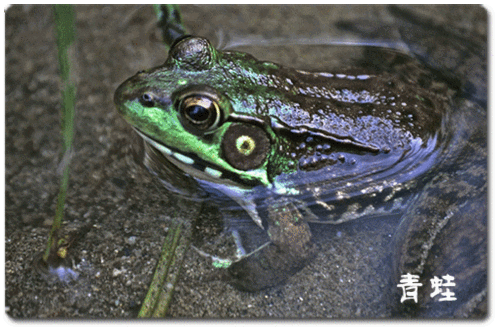 1024_681gif 动态图 动图