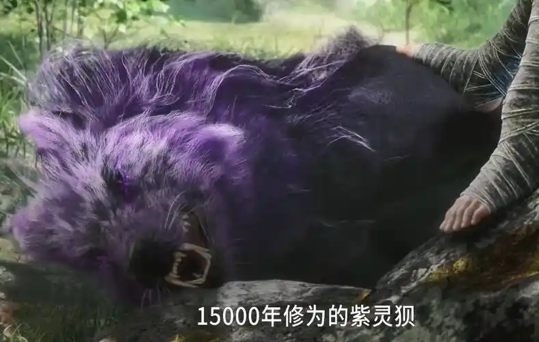 斗罗:霍雨浩极限单兵计划迎首次实战,击杀拥有7属性的银月狼王