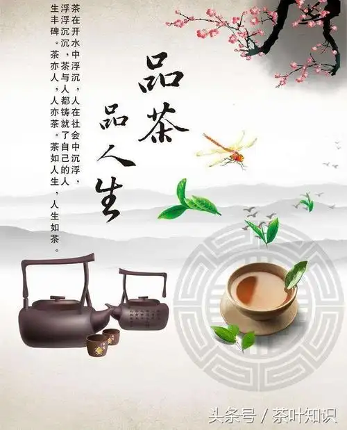 茶言茶语经典语录(形容茶意人生的哲理句)
