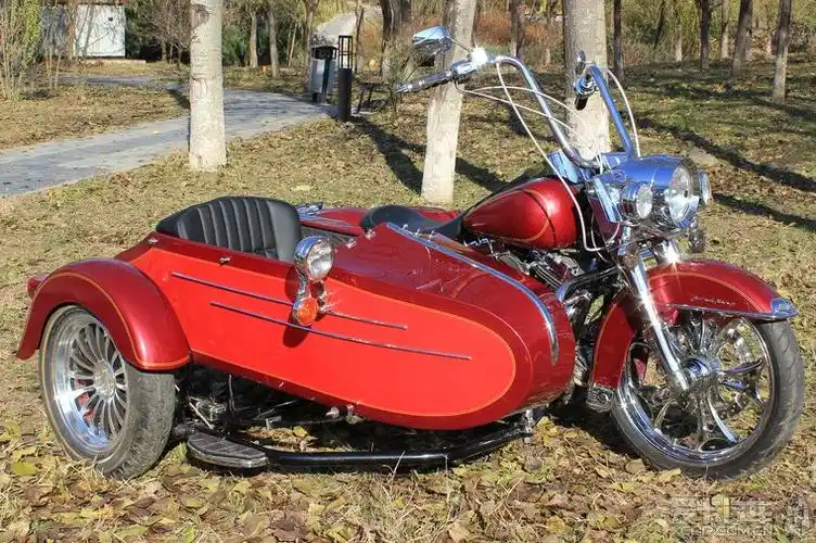 太狂野的哈雷挎斗