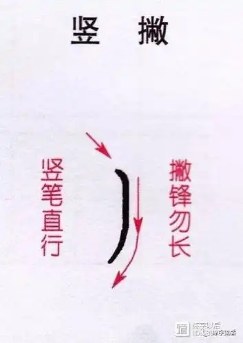 『竖撇』竖撇的写法,切笔后稍微顿笔,竖撇先写竖,行笔至中下方开始