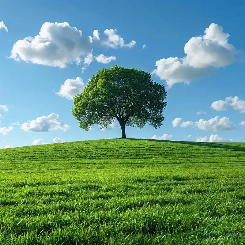 能量头像丨大树 小树 开阔 安宁.一棵树是成长,两棵树是家庭 - 抖音