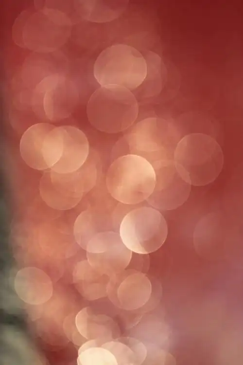 虚化背景素材 (11)