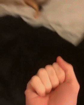 对狗狗竖中指得到的回应完全不同