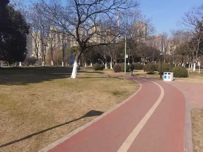 周六新区中央公园户外轮滑刷街报名啦-在线订票-互动吧