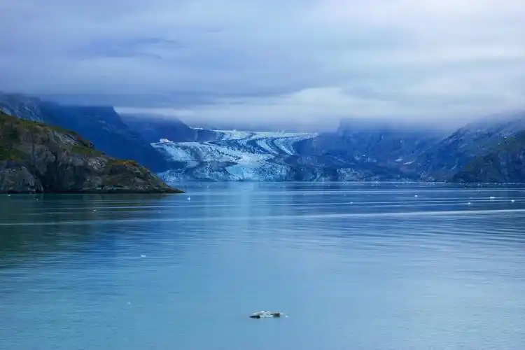 美国阿拉斯加邮轮之旅(三)冰川湾国家公园