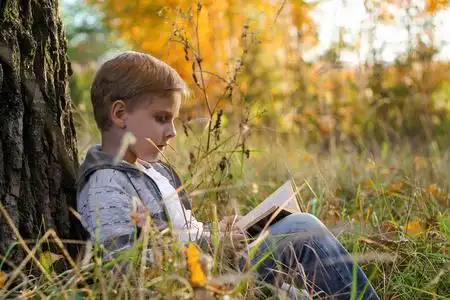 在一棵大树下图片