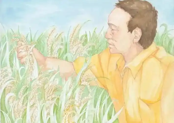 彩云读书稻花香里忆国士读袁隆平在个旧