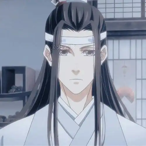 魔道祖师动画##蓝忘机