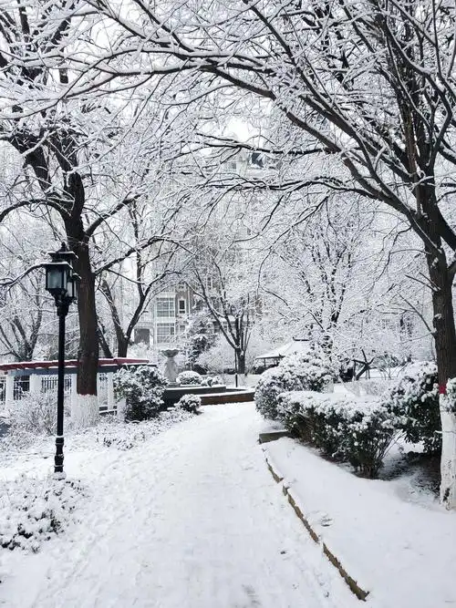 2020今天我们的城市下雪啦!