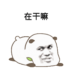 在干嘛呀动态表情包合集你在干嘛鸭