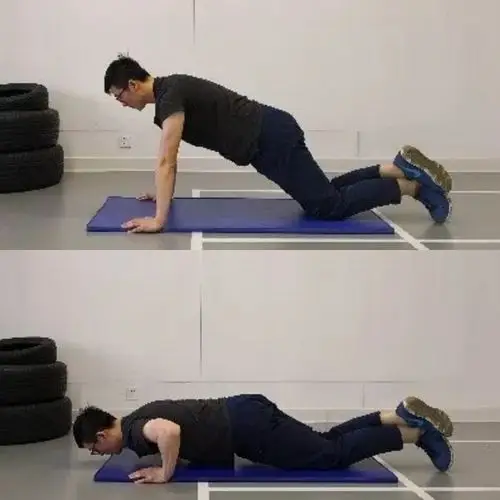 练习二:跪姿俯卧撑