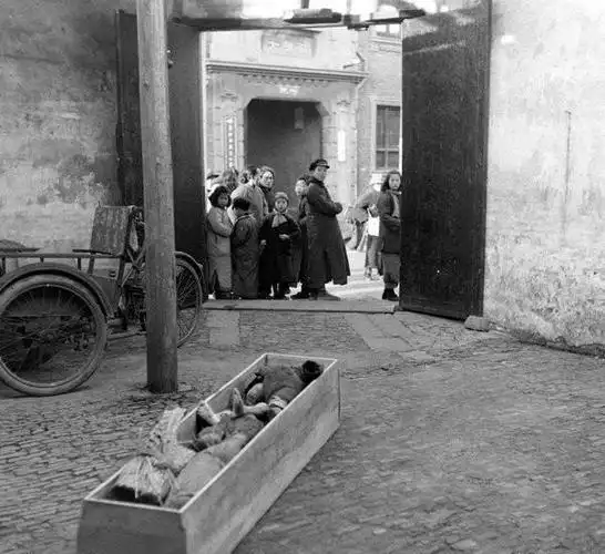 朱门酒肉臭路有冻死骨老照片直击民国时期的捡尸人