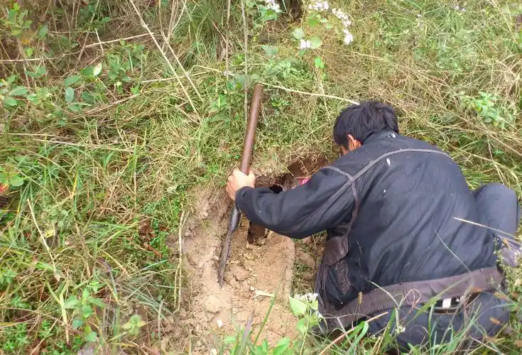 打死73条毒蛇,5年后被蛇围攻致死,蛇类真的记仇吗_程地明_红花_野鸡