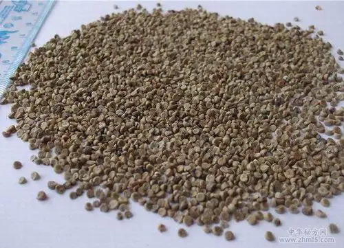 苘麻子的功效与作用苘麻子的药用价值