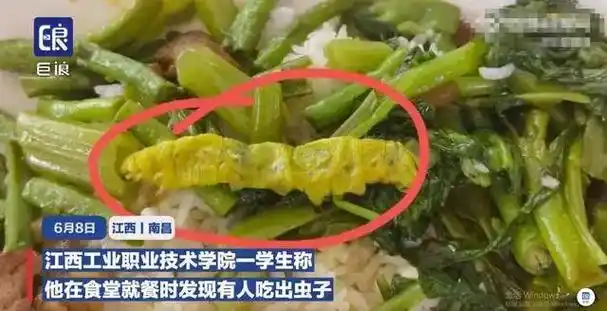 鼠头鸭脖高校学生吐槽又在食堂吃出大青虫