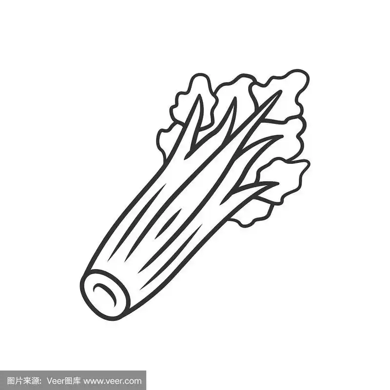 芹菜线性图标