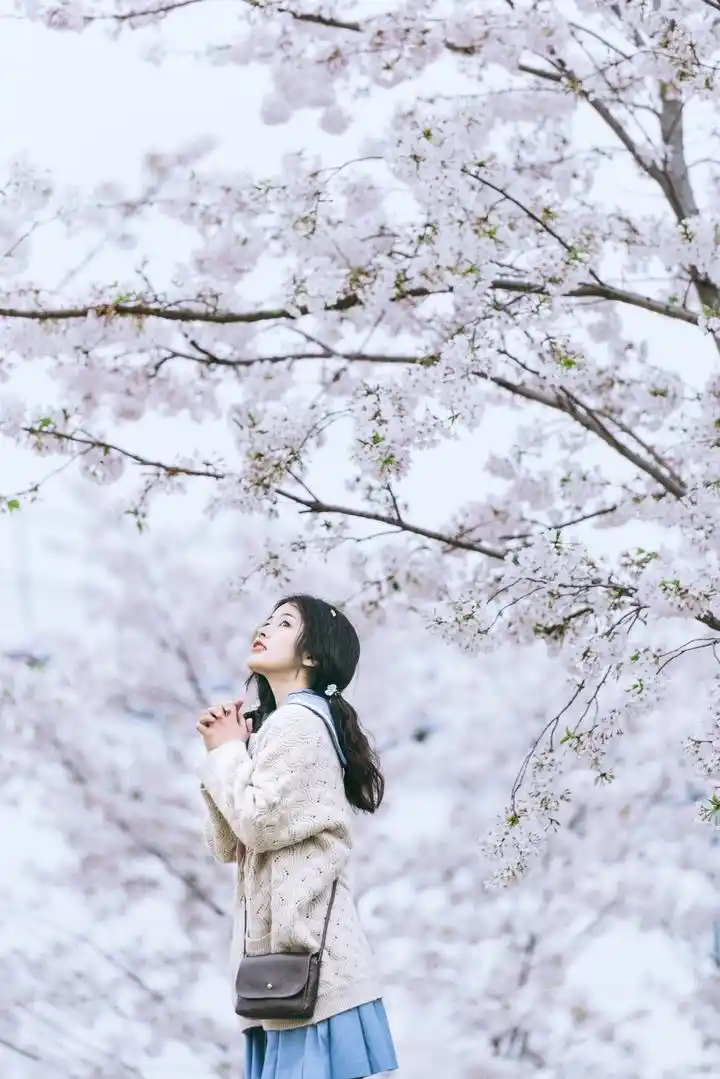 樱花树下的jk女孩,满满的初恋感