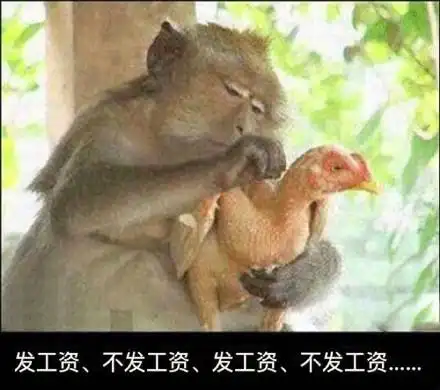 发工资,不发工资,发工资,不发工资.