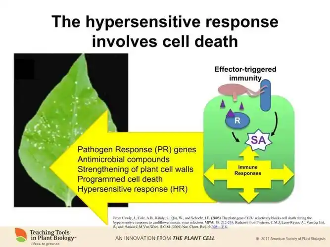 下载地址:http://www.plantcell.org/content/22/3/tpc.110.