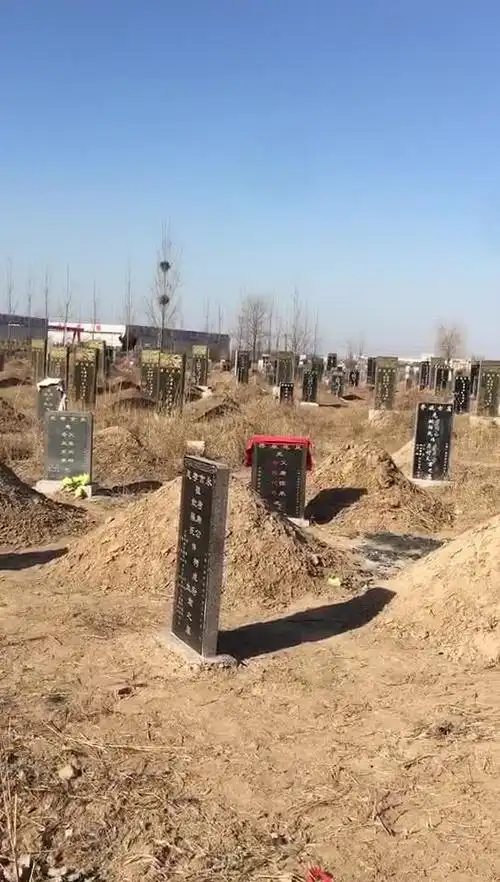 无为学院现代实用风水学平原墓地勘查2-情感视频-搜狐视频