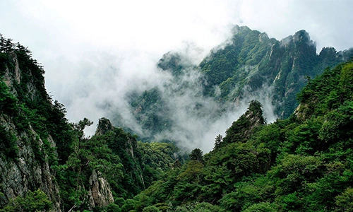 老君山追梦谷景点介绍,洛阳问题,马尔代夫旅游 - wee旅