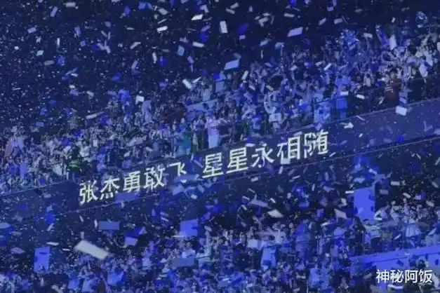 例如周杰伦是粉色,邓紫棋是紫色,而张杰的应援色则为蓝色.