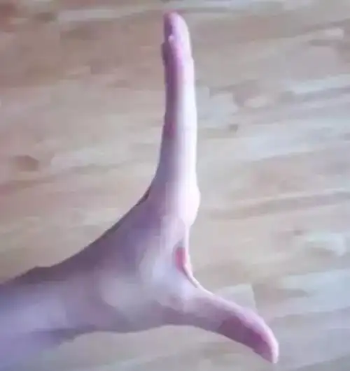 傣族舞的图文讲解和教学视频手位脚位舞步身体姿态