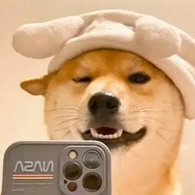 那些好玩的谐音梗#狗头#头像 - 抖音