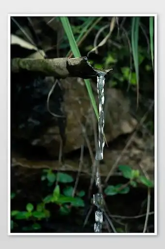 山间竹子水流摄影图