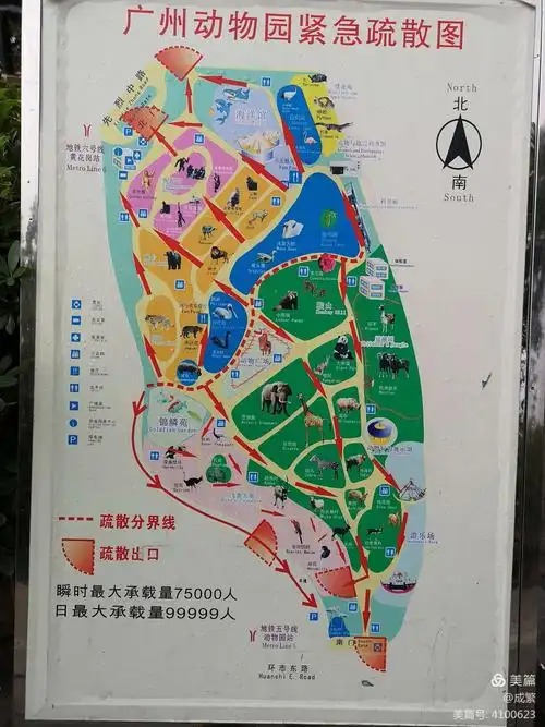 圈养的生灵 ——,广州动物园掠影