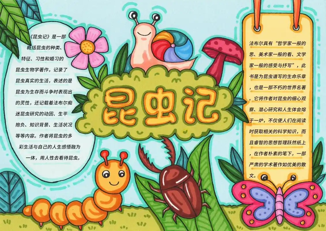 读书类手抄报.#热门话题🔥 #关于读书的手抄报 #昆虫记手 - 抖音