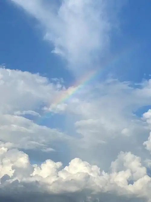 爱上彩虹吃定彩虹