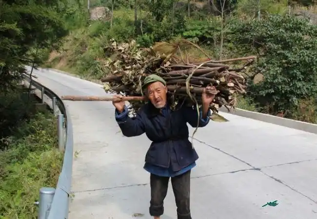 父母辛苦攒五万给我们买房,老婆嫌少还说风凉话