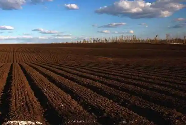 大东北黑土地乡村田园风光
