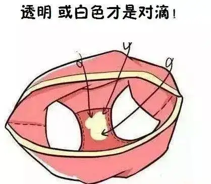 月经前白带变成褐色了?又不是血?