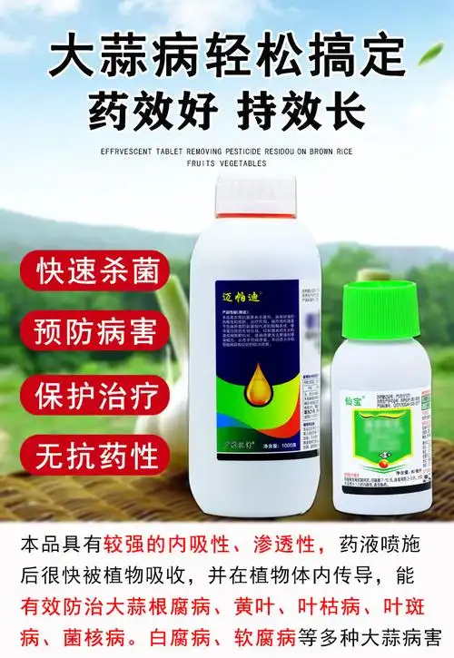 大蒜专用农药根腐病紫斑病叶枯病软腐病疫病锈病防病药大蒜杀菌剂