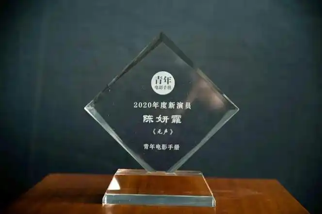 回顾青年电影手册2020年度华语十佳影片