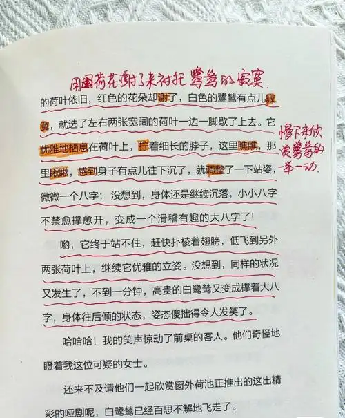 自然笔记第二波又来了适合小学生仿写