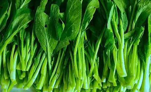 经常吃些油菜,不仅改善皮肤还能抗衰老,维持年轻态,幸好早知道!