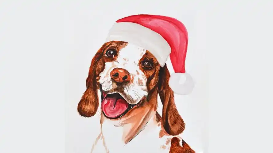 生动有趣的小动物主题壁纸- 卡通小动物壁纸,动态壁纸下载,mac电脑