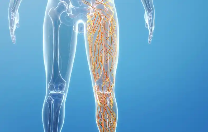 揭开淋巴管造影的神秘面纱