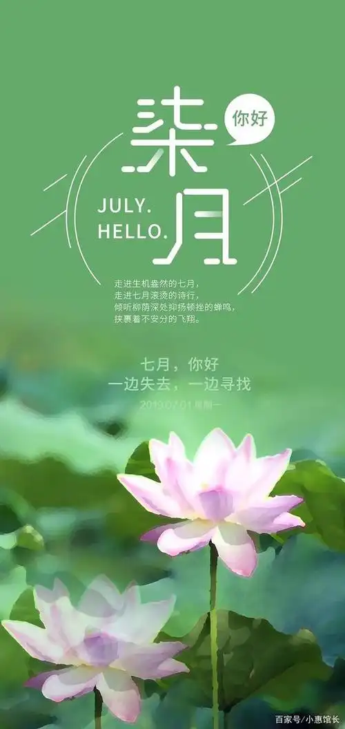 歌颂七月的文字