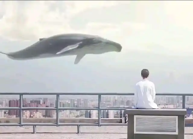 肖战前几日在绿洲发文,其中配图的鲸鱼,和顾魏天台上的画面好像,好