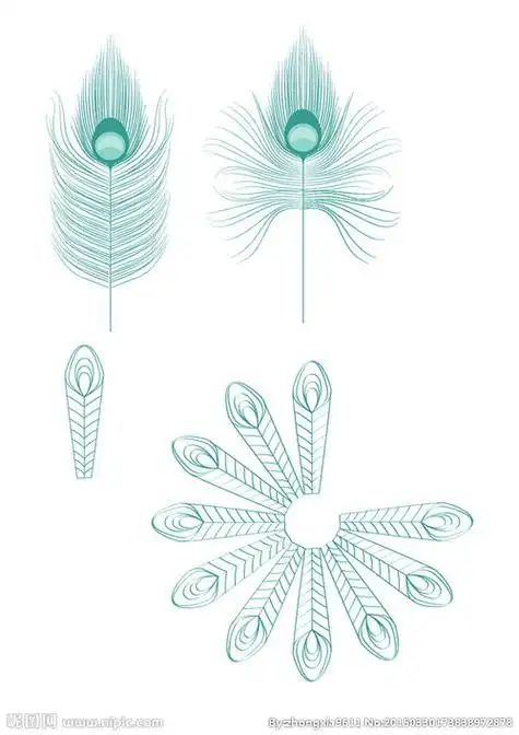 孔雀羽毛简笔画孔雀羽毛简笔画带颜色