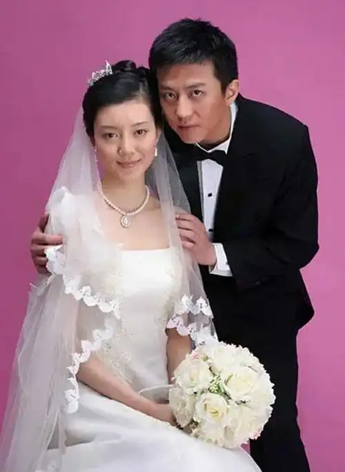 车晓为什么离婚,车晓现任丈夫是谁(车晓与王丽云母女同样离异)