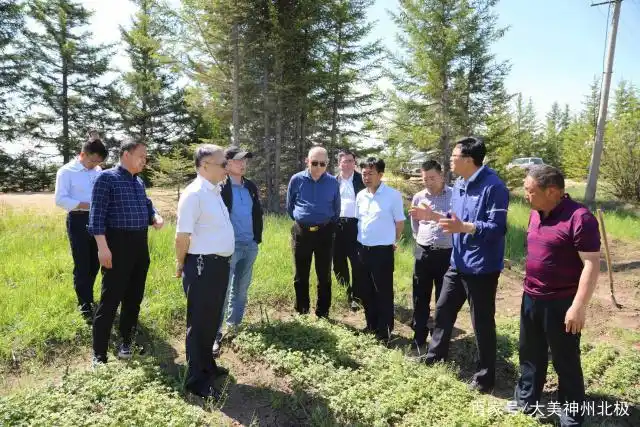 成员,中国林业生态环境发展促进会副秘书长兼生态认证委员会主任石峰